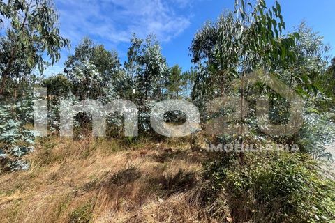 Tomt i Monte Real, Leiria, Monte Real - € 50 000 | Ref: IMO_92 - foto 3