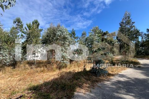 Tomt i Monte Real, Leiria, Monte Real - € 50 000 | Ref: IMO_92 - foto 4