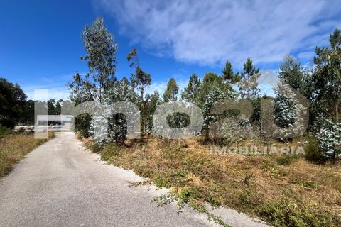 Tomt i Monte Real, Leiria, Monte Real - € 50 000 | Ref: IMO_92 - foto 5