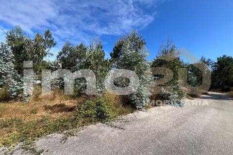 Tomt i Monte Real, Leiria, Monte Real - € 50 000 | Ref: IMO_92 - foto 6