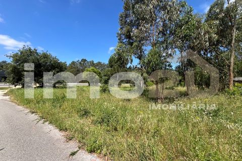 Tomt i Monte Real, Leiria, Monte Real - € 50 000 | Ref: IMO_92 - foto 7