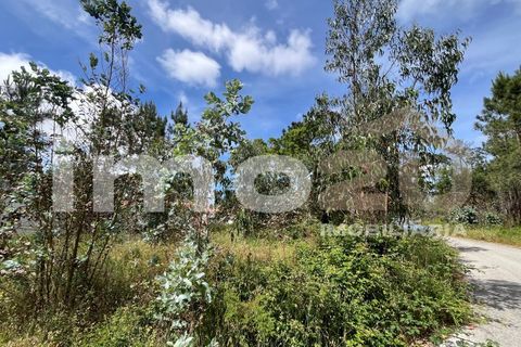 Tomt i Monte Real, Leiria, Monte Real - € 50 000 | Ref: IMO_92 - foto 8