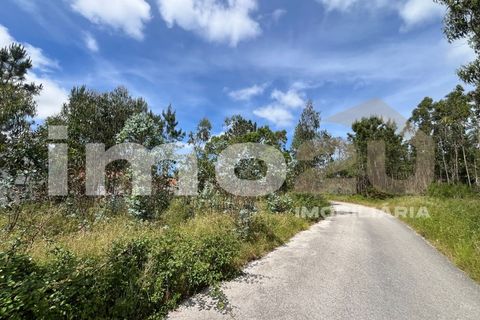 Tomt i Monte Real, Leiria, Monte Real - € 50 000 | Ref: IMO_92 - foto 11