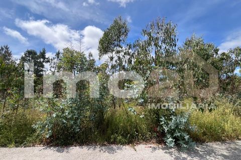 Tomt i Monte Real, Leiria, Monte Real - € 50 000 | Ref: IMO_92 - foto 12