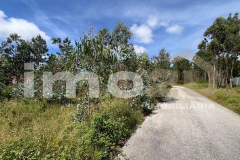 Tomt i Monte Real, Leiria, Monte Real - € 50 000 | Ref: IMO_92 - foto 13