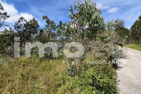 Tomt i Monte Real, Leiria, Monte Real - € 50 000 | Ref: IMO_92 - foto 14