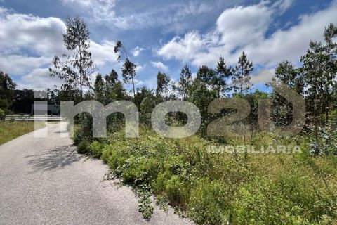 Tomt i Monte Real, Leiria, Monte Real - € 50 000 | Ref: IMO_92 - foto 15