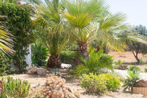 Villa i Lagoa, Faro, Lagoa - € 1.750.000 | Ref: EAV-4228 - foto 17