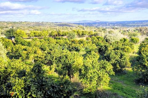 Terreno en Albufeira, Faro, Albufeira - € 580.000 | Ref: EAV-4242 - photo 9