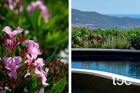 Villa a Torpe, Nuoro, Torpe - € 1.500.000 | Ref: PO1343 - foto 10