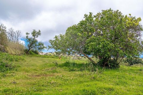 Helårsgrund i Calheta, Madeira, Calheta - € 190.000 | Ref: 123511177-64 - foto 8