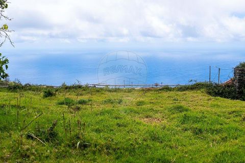 Helårsgrund i Calheta, Madeira, Calheta - € 190.000 | Ref: 123511177-64 - foto 11