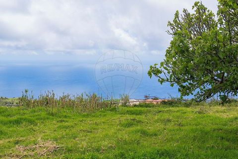 Helårsgrund i Calheta, Madeira, Calheta - € 190.000 | Ref: 123511177-64 - foto 12