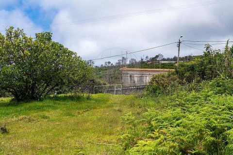 Helårsgrund i Calheta, Madeira, Calheta - € 190.000 | Ref: 123511177-64 - foto 13