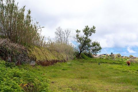 Helårsgrund i Calheta, Madeira, Calheta - € 190.000 | Ref: 123511177-64 - foto 15