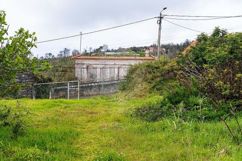 Helårsgrund i Calheta, Madeira, Calheta - € 190.000 | Ref: 123511177-64 - foto 16