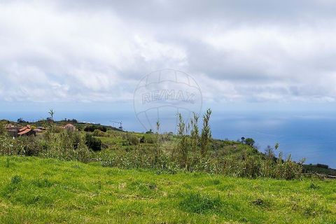 Helårsgrund i Calheta, Madeira, Calheta - € 190.000 | Ref: 123511177-64 - foto 17