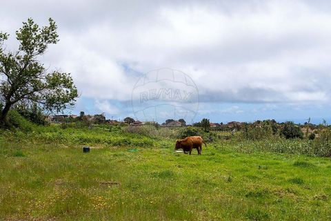 Helårsgrund i Calheta, Madeira, Calheta - € 190.000 | Ref: 123511177-64 - foto 18