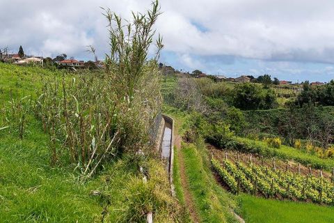 Helårsgrund i Calheta, Madeira, Calheta - € 190.000 | Ref: 123511177-64 - foto 21