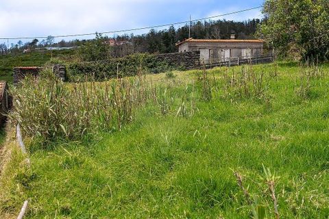 Helårsgrund i Calheta, Madeira, Calheta - € 190.000 | Ref: 123511177-64 - foto 23