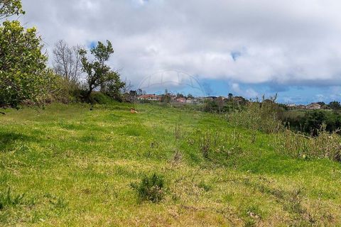Helårsgrund i Calheta, Madeira, Calheta - € 190.000 | Ref: 123511177-64 - foto 25