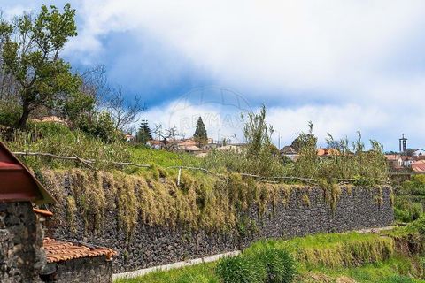 Helårsgrund i Calheta, Madeira, Calheta - € 190.000 | Ref: 123511177-64 - foto 29