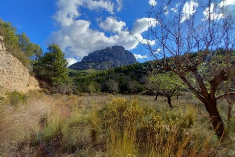 Helårsgrund i Finestrat, Alicante - foto 5