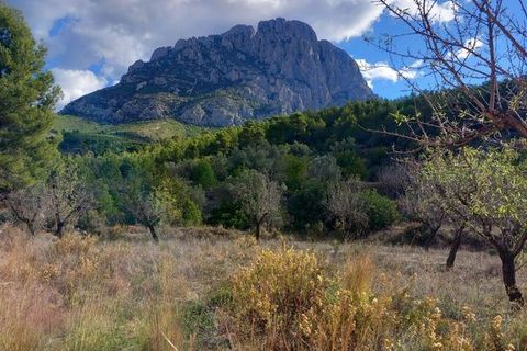 Helårsgrund i Finestrat, Alicante - foto 2