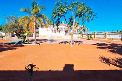 Parkeringsplads i Catral, Alicante, Catral - € 415.000 | Ref: 5373 - foto 2