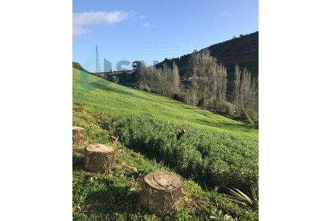 Landejendom i Matacaes, Lisbon, Matacaes - € 350.000 | Ref: TV/OS013-26 - foto 20
