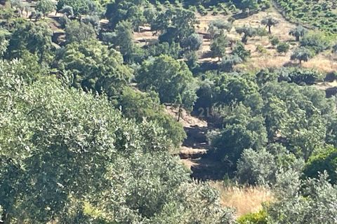 Haus in Abrantes, Santarem, Abrantes - € 180.000 | Ref: C0364-06055 - Foto 13