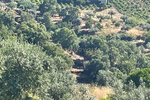 Haus in Abrantes, Santarem, Abrantes - € 180.000 | Ref: C0364-06055 - Foto 14