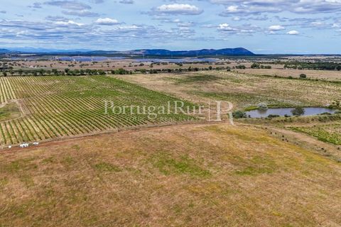 Farm i Nisa, Portalegre, Nisa - € 750.000 | Ref: FG1177 - foto 19