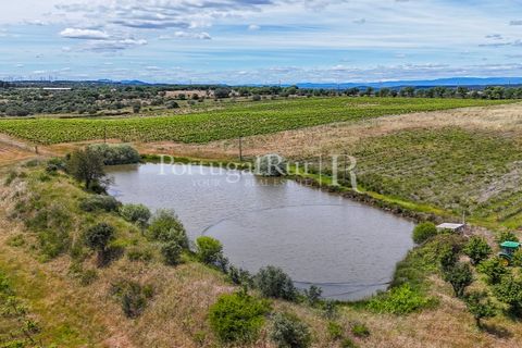 Farm i Nisa, Portalegre, Nisa - € 750.000 | Ref: FG1177 - foto 21