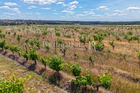 Farm i Nisa, Portalegre, Nisa - € 750.000 | Ref: FG1177 - foto 22
