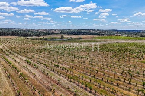 Farm i Nisa, Portalegre, Nisa - € 750.000 | Ref: FG1177 - foto 24