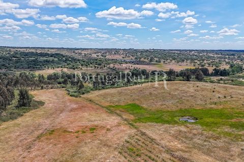 Farm i Nisa, Portalegre, Nisa - € 750.000 | Ref: FG1177 - foto 27