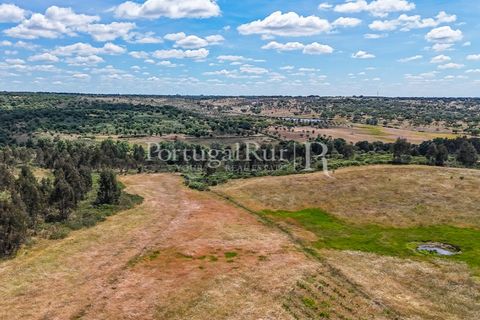 Farm i Nisa, Portalegre, Nisa - € 750.000 | Ref: FG1177 - foto 29