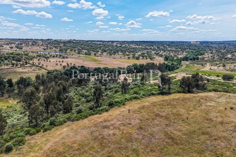 Farm i Nisa, Portalegre, Nisa - € 750.000 | Ref: FG1177 - foto 30