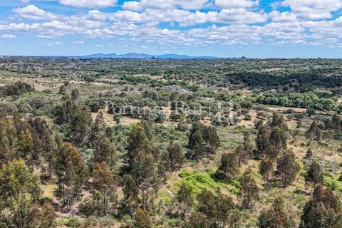 Farm i Nisa, Portalegre, Nisa - € 750.000 | Ref: FG1177 - foto 31