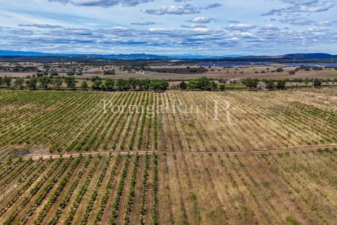 Farm i Nisa, Portalegre, Nisa - € 750.000 | Ref: FG1177 - foto 33