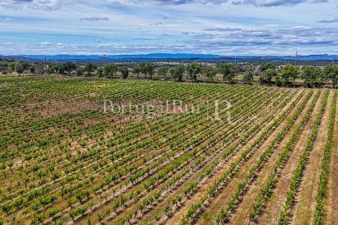 Farm i Nisa, Portalegre, Nisa - € 750.000 | Ref: FG1177 - foto 37