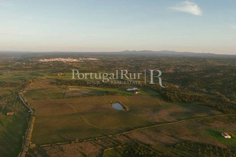Farm i Nisa, Portalegre, Nisa - € 750.000 | Ref: FG1177 - foto 2