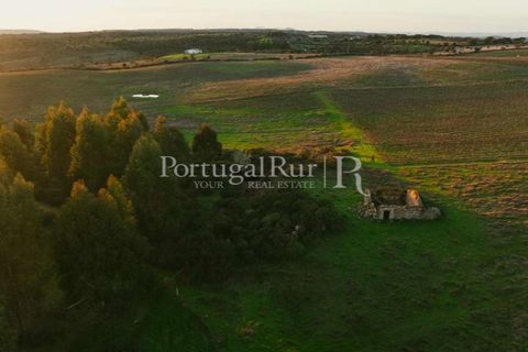 Farm i Nisa, Portalegre, Nisa - € 750.000 | Ref: FG1177 - foto 3