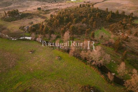 Farm i Nisa, Portalegre, Nisa - € 750.000 | Ref: FG1177 - foto 4