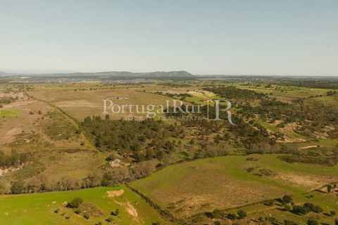 Farm i Nisa, Portalegre, Nisa - € 750.000 | Ref: FG1177 - foto 7