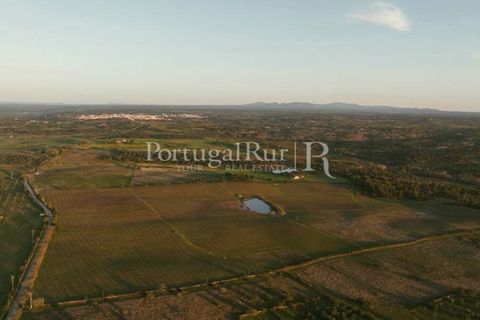 Farm i Nisa, Portalegre, Nisa - € 750.000 | Ref: FG1177 - foto 8
