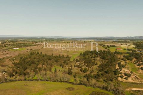 Farm i Nisa, Portalegre, Nisa - € 750.000 | Ref: FG1177 - foto 10