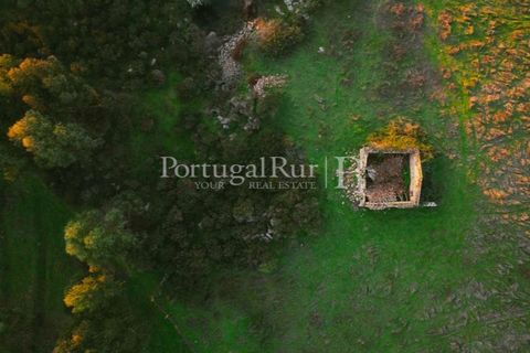 Farm i Nisa, Portalegre, Nisa - € 750.000 | Ref: FG1177 - foto 46