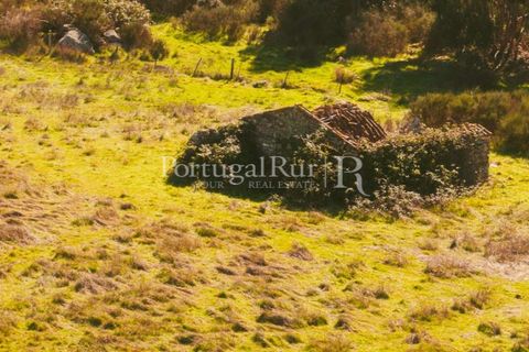 Farm i Nisa, Portalegre, Nisa - € 750.000 | Ref: FG1177 - foto 47